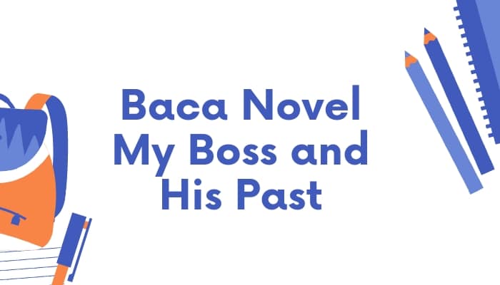 novel my boss and his past