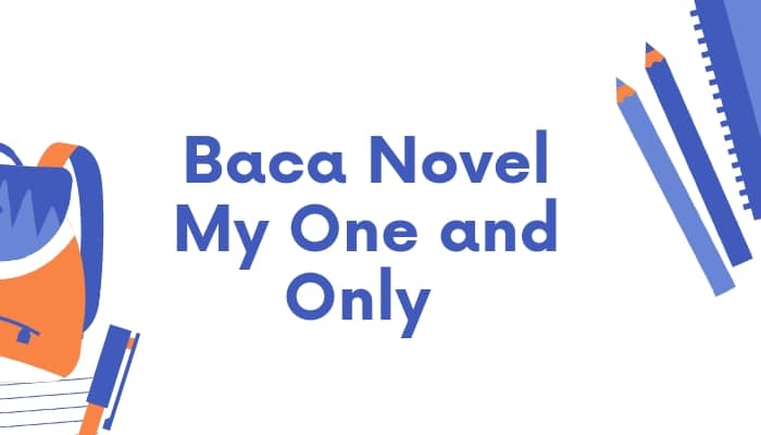 novel my one and only