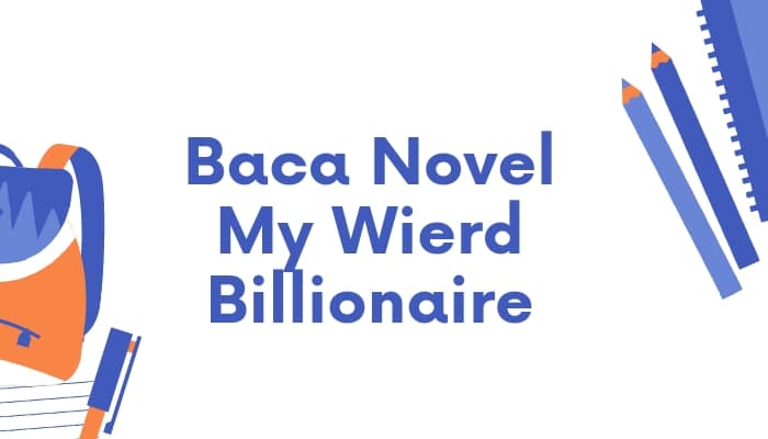 novel my weird billionaire
