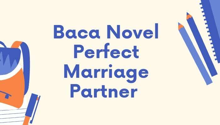 novel perfect marriage partner
