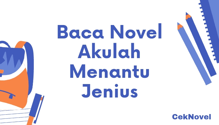 Novel Akulah Menantu Jenius