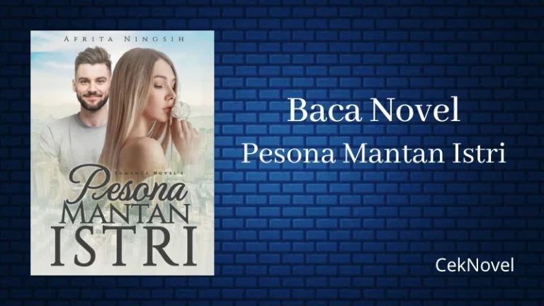 Novel Pesona Mantan Istri