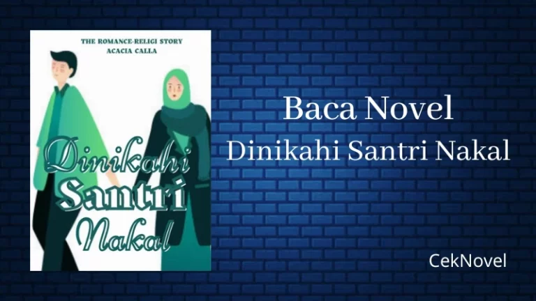 Novel Dinikahi Santri Nakal