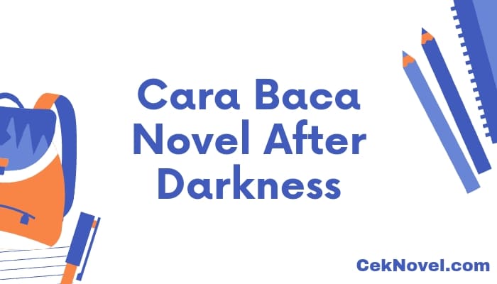 novel after darkness