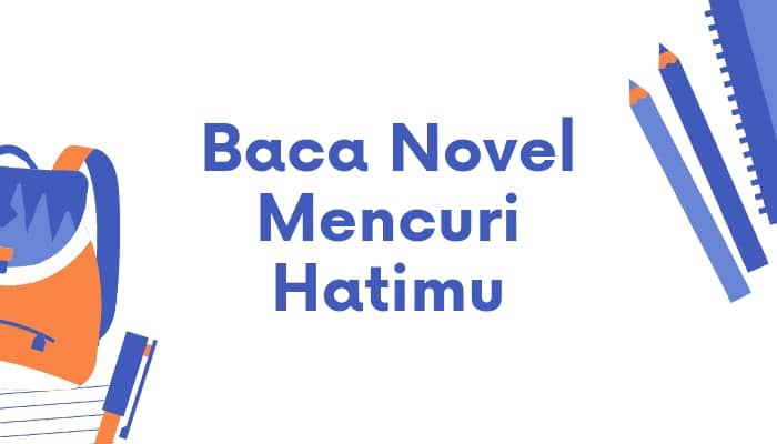 novel mencuri hatimu