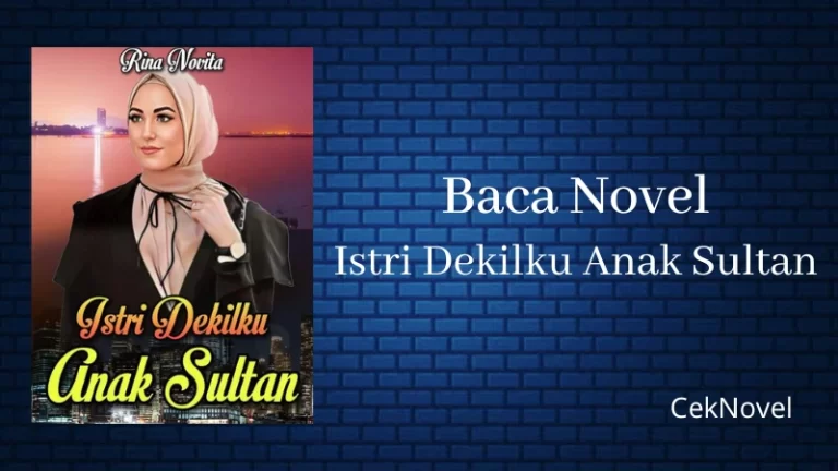 Novel Istri Dekilku Anak Sultan