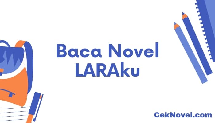 novel laraku