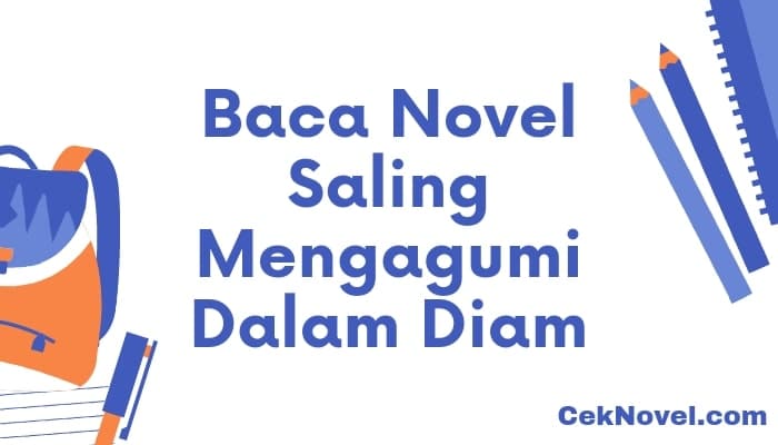 novel saling mengagumi dalam diam
