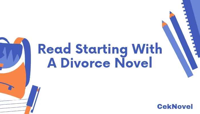 Starting With A Divorce Novel