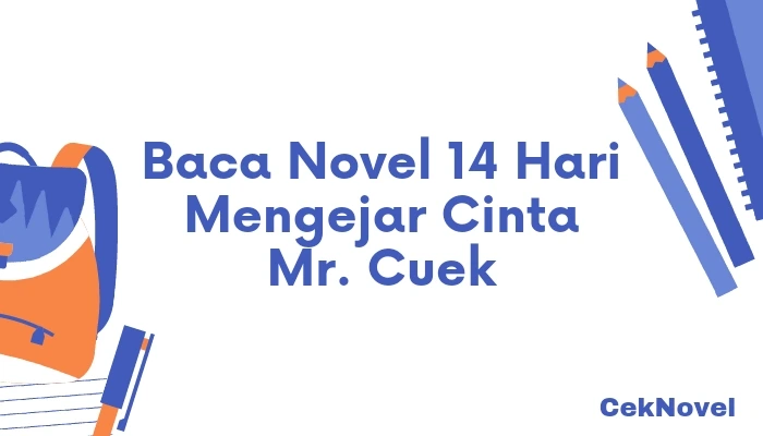 Novel 14 Hari Mengejar Cinta Mr. Cuek