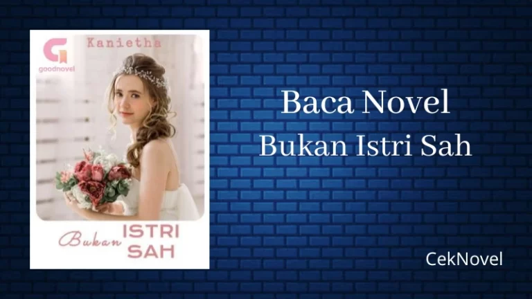Novel Bukan Istri Sah