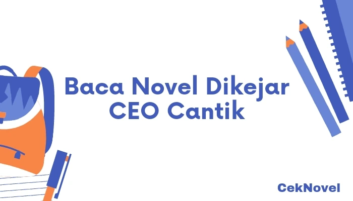 Novel Dikejar CEO Cantik