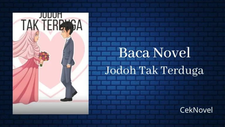 Novel Jodoh Tak Terduga