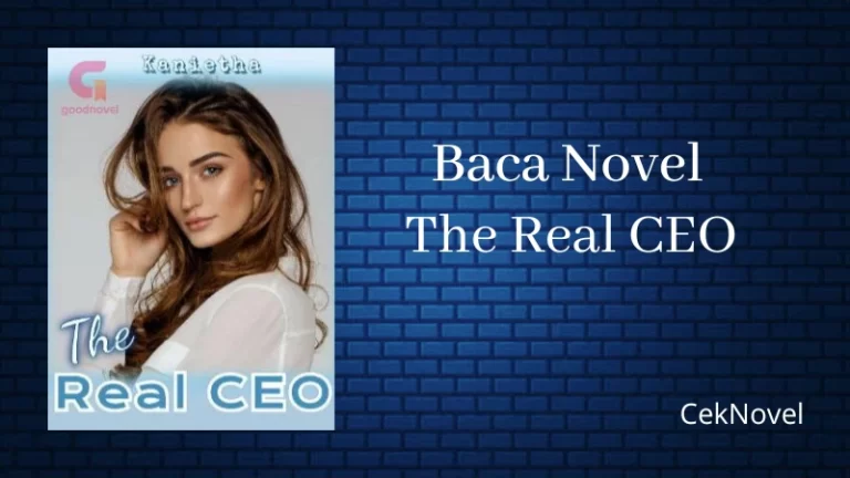 Novel The Real CEO