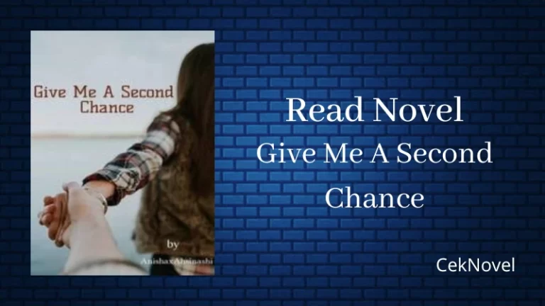 Give Me A Second Chance Novel