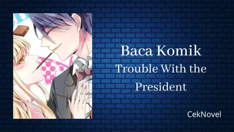 Komik Trouble With the President