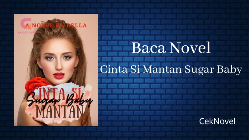 Novel Cinta Si Mantan Sugar Baby