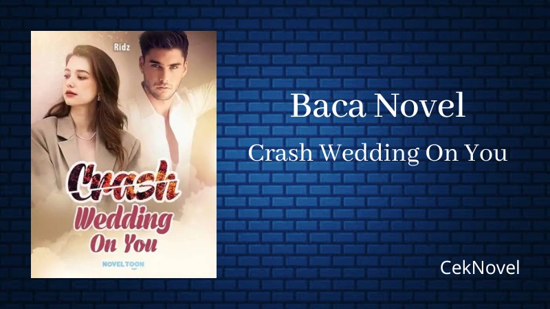 Novel Crash Wedding On You