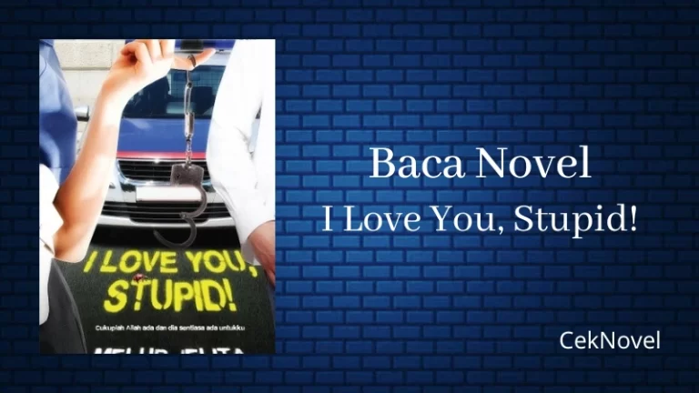 Novel I Love You Stupid