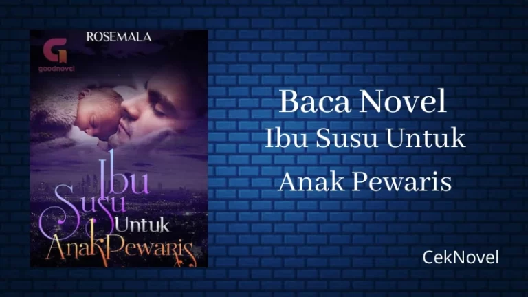 Novel Ibu Susu Untuk Anak Pewaris