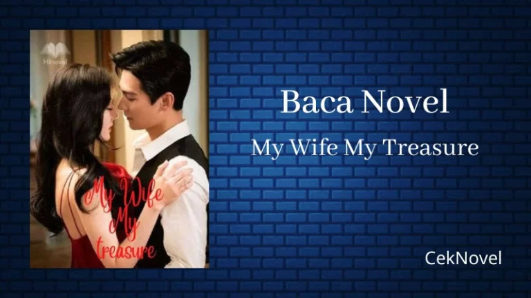 Novel My Wife My Treasure