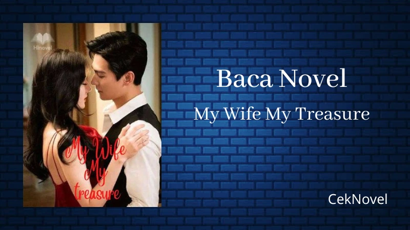 Novel My Wife My Treasure