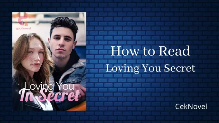 Loving You In Secret Novel