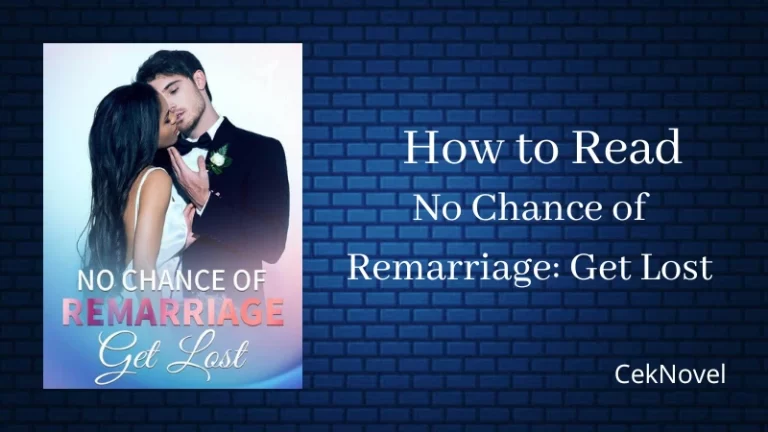 No Chance of Remarriage Get Lost Novel