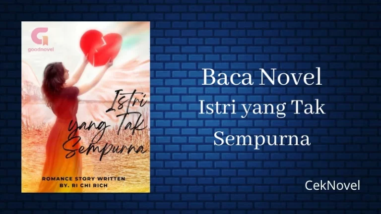 Novel Istri yang Tak Sempurna