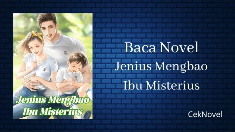 Novel Jenius Mengbao Ibu Misterius