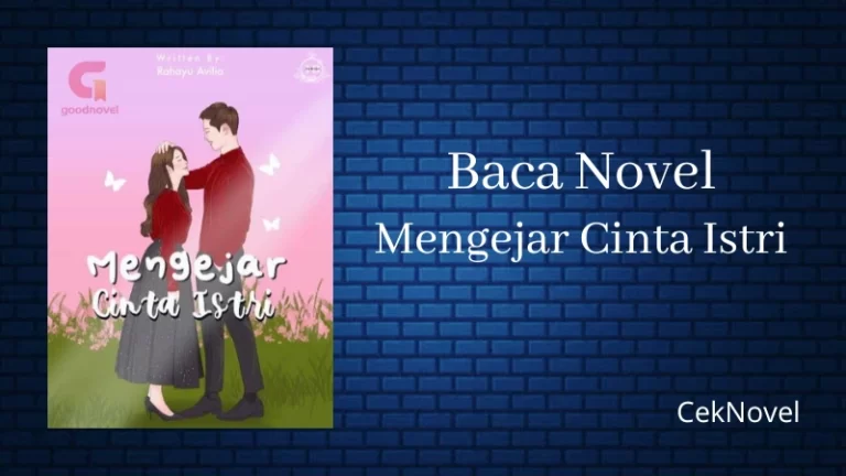 Novel Mengejar Cinta Istri