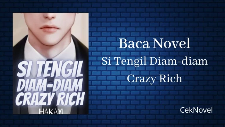 Novel Si Tengil Diam diam Crazy Rich