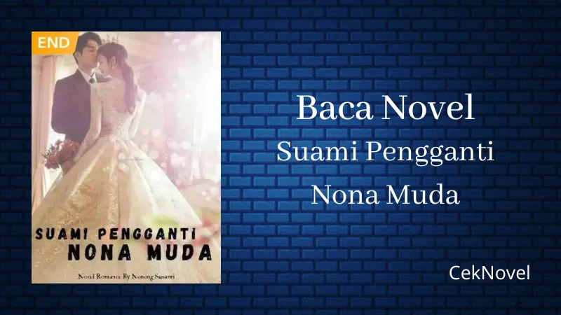 Novel Suami Pengganti Nona Muda