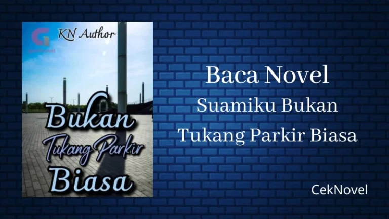 Novel Suamiku Bukan Tukang Parkir Biasa