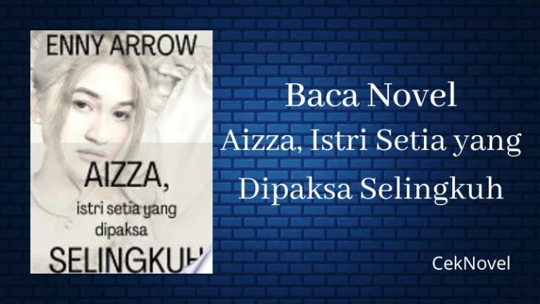 Novel Aizza