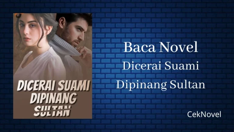 Novel Dicerai Suami Dipinang Sultan