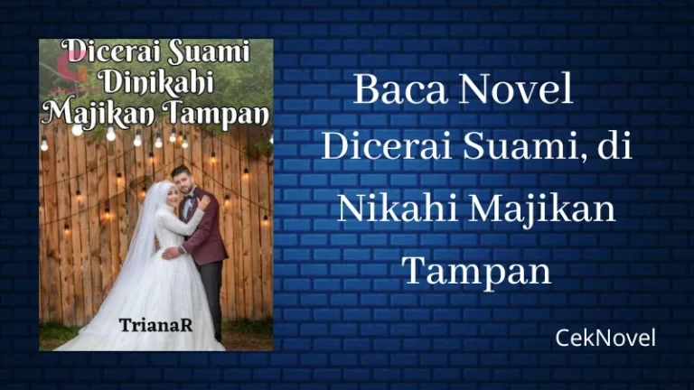 Novel Dicerai Suami di Nikahi Majikan Tampan