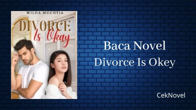 Novel Divorce Is Okey