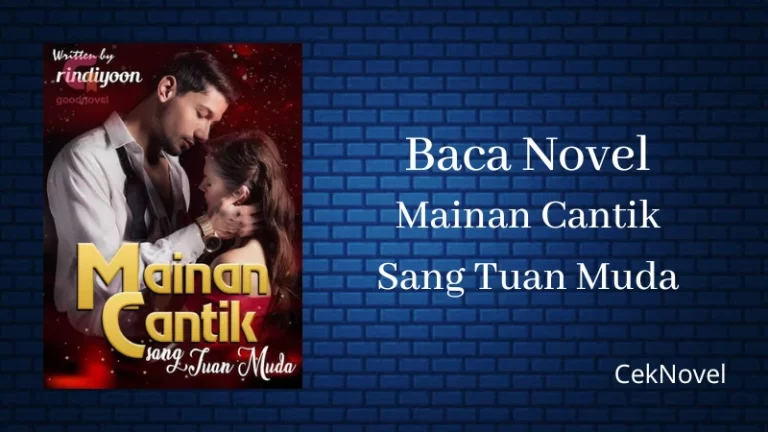 Novel Mainan Cantik Sang Tuan Muda