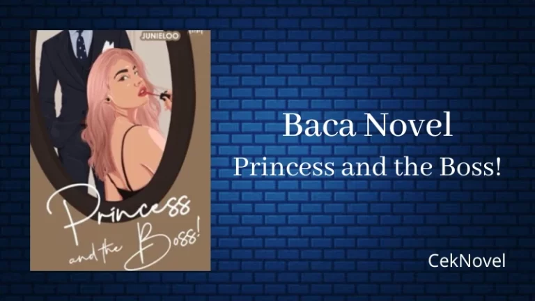 Novel Princess and the Boss