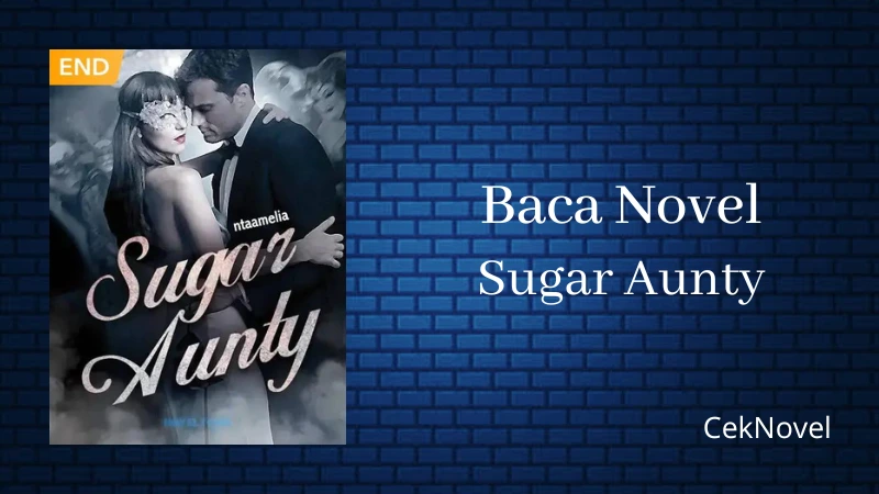 Novel Sugar Aunty