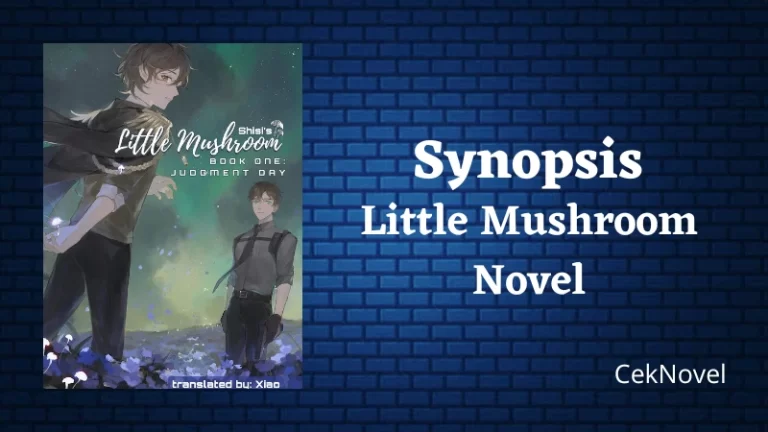 Little Mushroom Novel