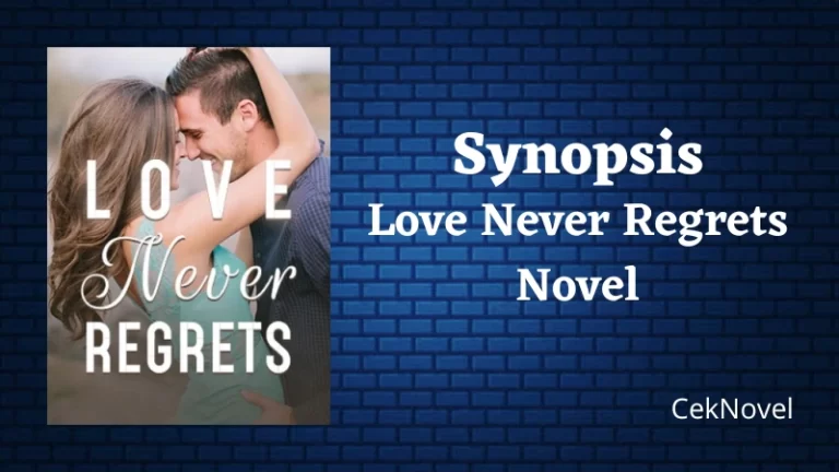 Love Never Regrets Novel