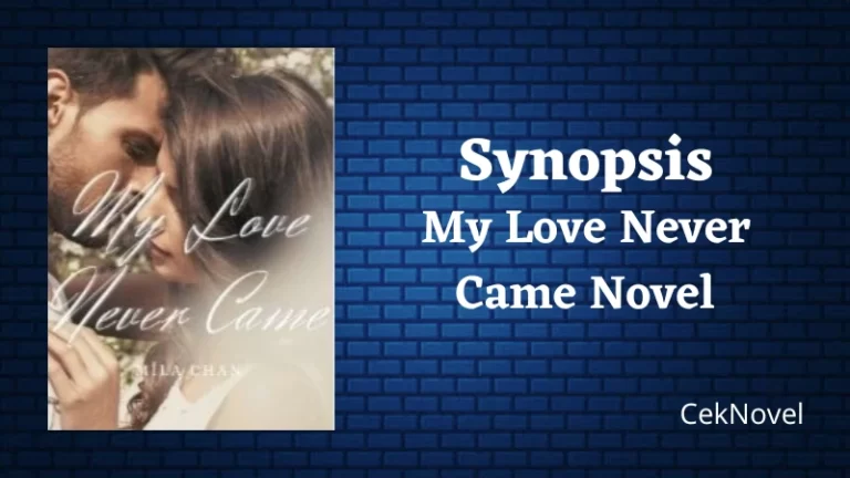 My Love Never Came Novel