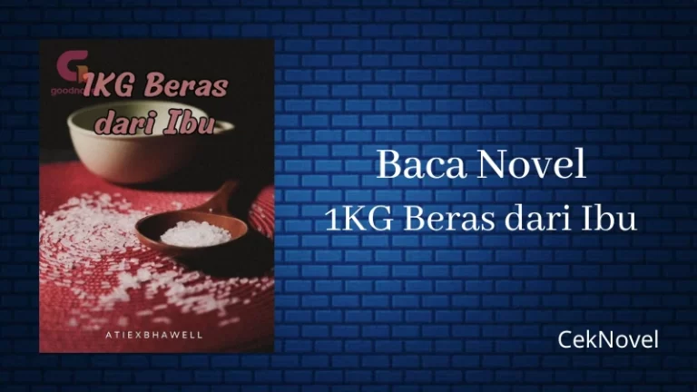 Novel 1KG Beras dari Ibu
