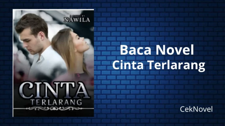 Novel Cinta Terlarang
