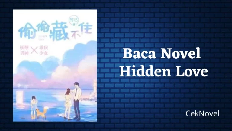 Novel Hidden Love