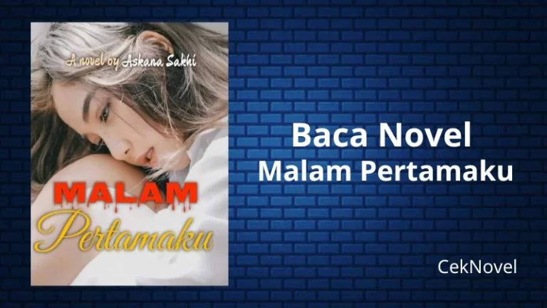 Novel Malam Pertamaku