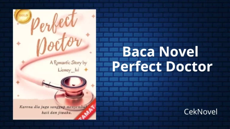 Novel Perfect Doctor