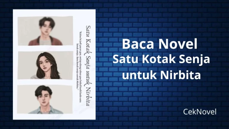 Novel Satu Kotak Senja untuk Nirbita